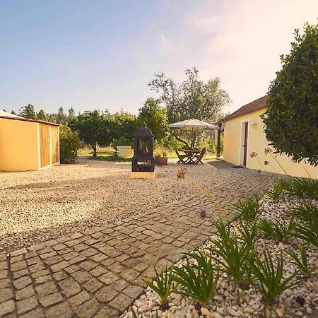 Spacious 4 Bedroom - Peaceful Rural Escape Penacova